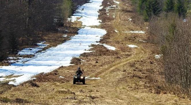 Przez "zieloną granicę" bez dokumentów. Syryjczycy w rękach służb