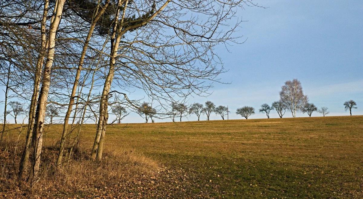 Prognoza pogody: słonecznie i ciepło, nawet do 12 stopni na plusie