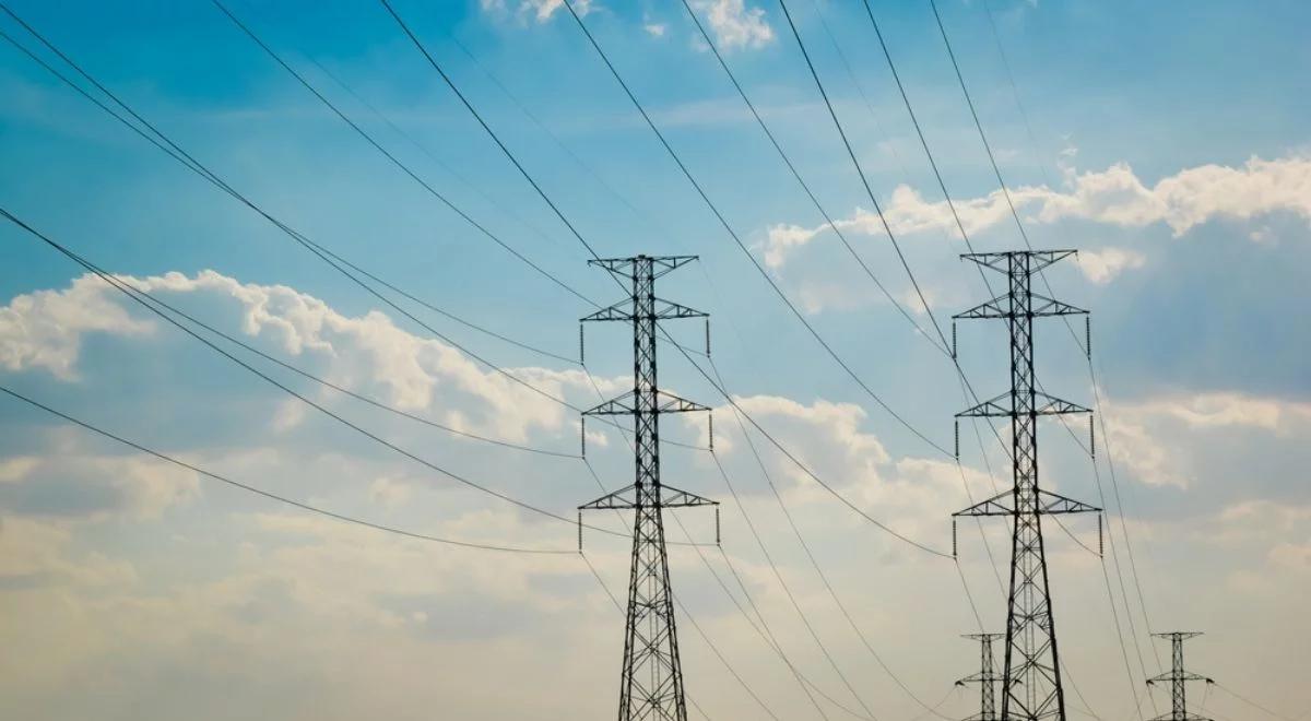 Ceny energii elektrycznej. Cupryszak: są kształtowane w oparciu o ceny surowców energetycznych