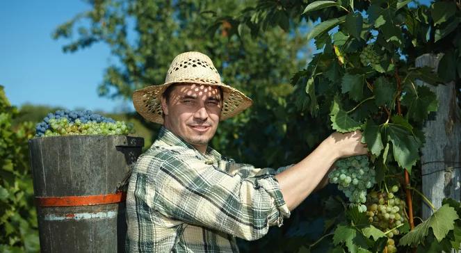 Za wakacyjną pracę za granicą trzeba zapłacić PIT. Dwie metody rozliczeń