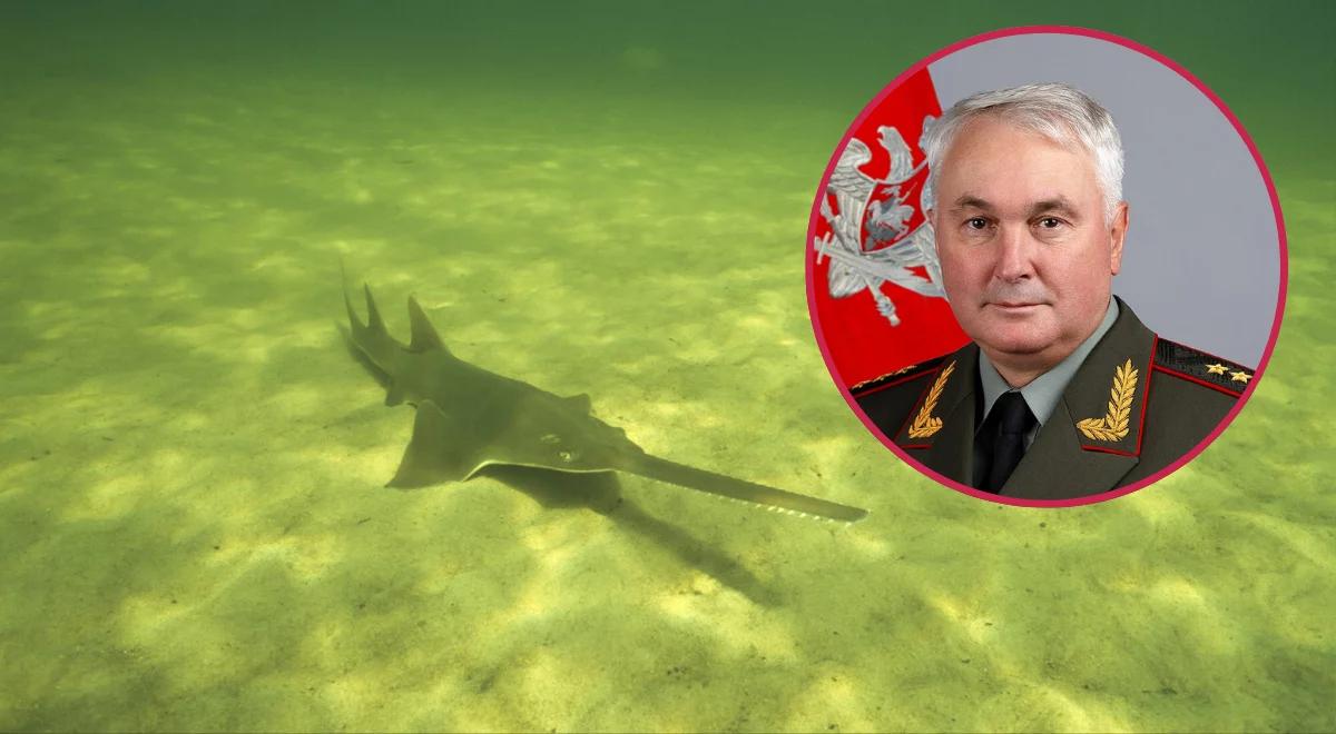 Sabotaż na Bałtyku, Rosja drwi w żywe oczy. "Wina ryby"