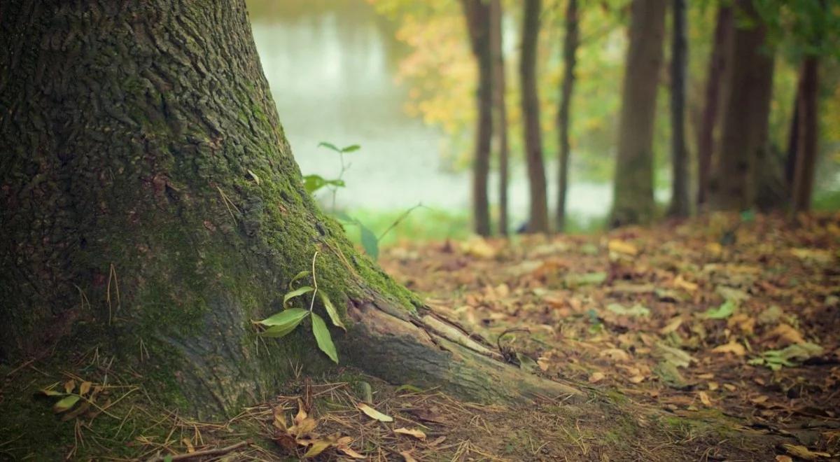 Pogoda na weekend: jesień coraz bliżej, temperatura poniżej 20 stopni