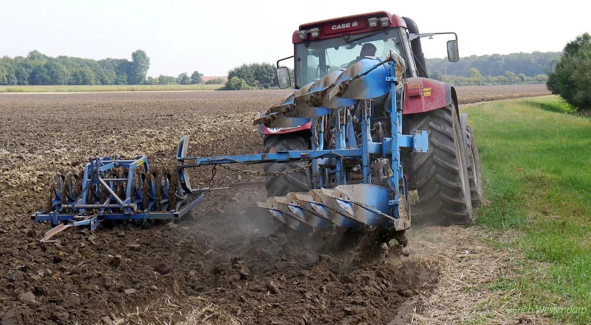 Dopłaty bezpośrednie: ponad 6 mld zł na kontach rolników