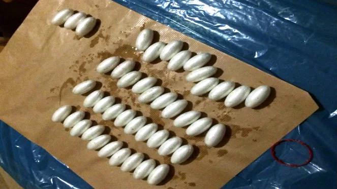Udaremniony przemyt kokainy. Narkotykowy szlak z Holandii