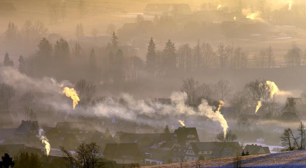 Walka ze smogiem. GIOŚ informuje, gdzie sprawdzić aktualną jakość powietrza