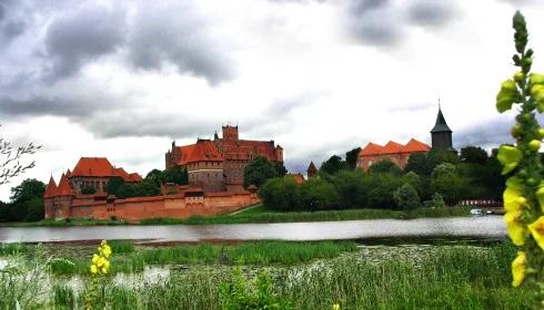 Zwycięstwo pod Grunwaldem nie zostało wykorzystane