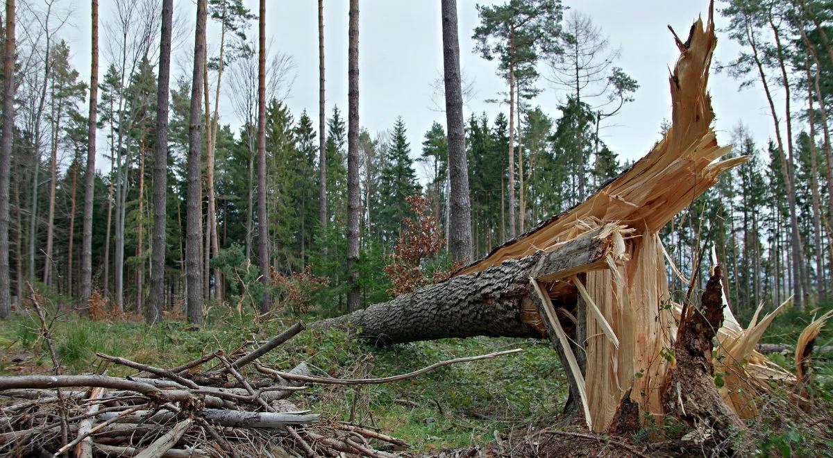 Kolejny synoptyk z zarzutami ws. tragedii w Suszku. "Nie zarządził zagrożenia"