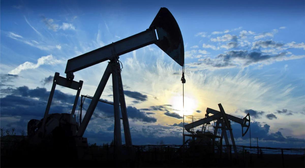 Ropa lekko w górę. OPEC ma problem: Rosja niechętna, aby zmniejszyć dostawy
