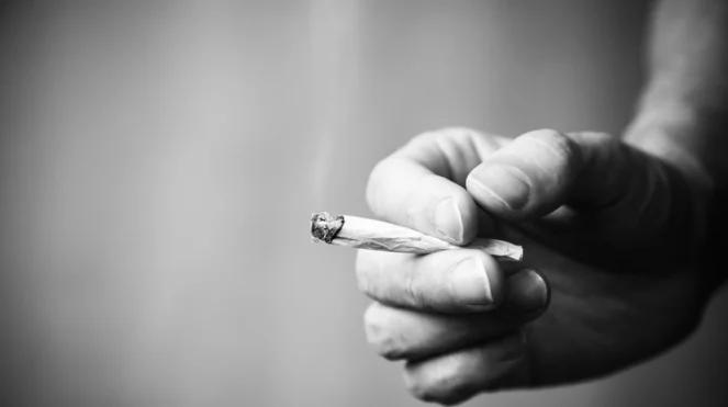 Marihuana w domu Kory służyła do "celów badawczych"