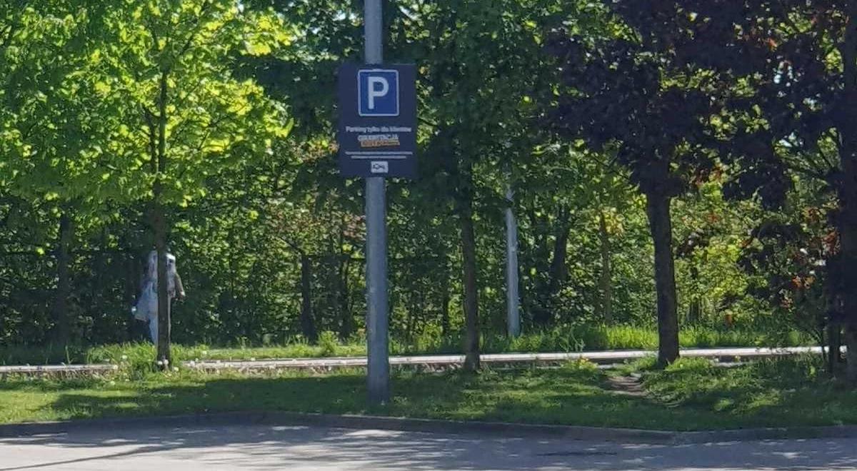Nieudana kradzież w Piasecznie. Po wszystkim udawała drzewo [WIDEO]