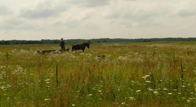 70. rocznica zbrodni wołyńskiej: obchody oficjalne i społeczne