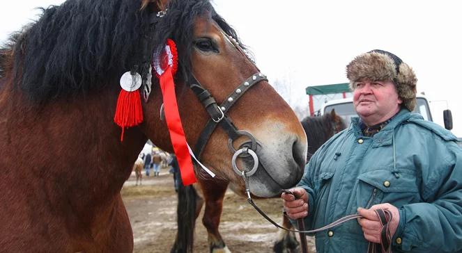 Tym Żyje Kraj: Targi konne w Skaryszewie