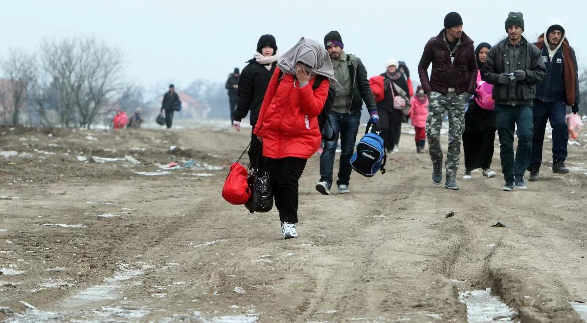 Kryzys migracyjny: referendum w sprawie uchodźców? Politycy podzieleni