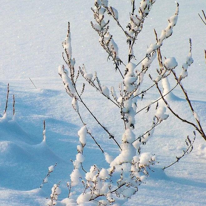 Prognoza pogody na weekend: będzie mroźno