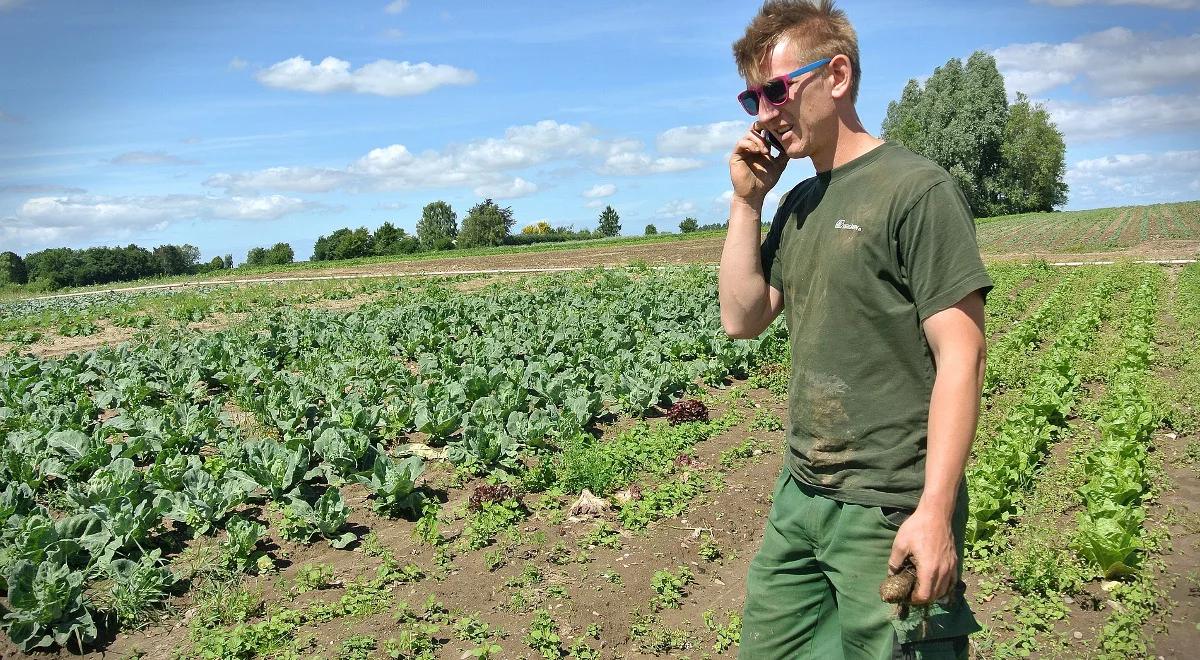 Mimo bezrobocia, brakuje pracowników sezonowych na wsi