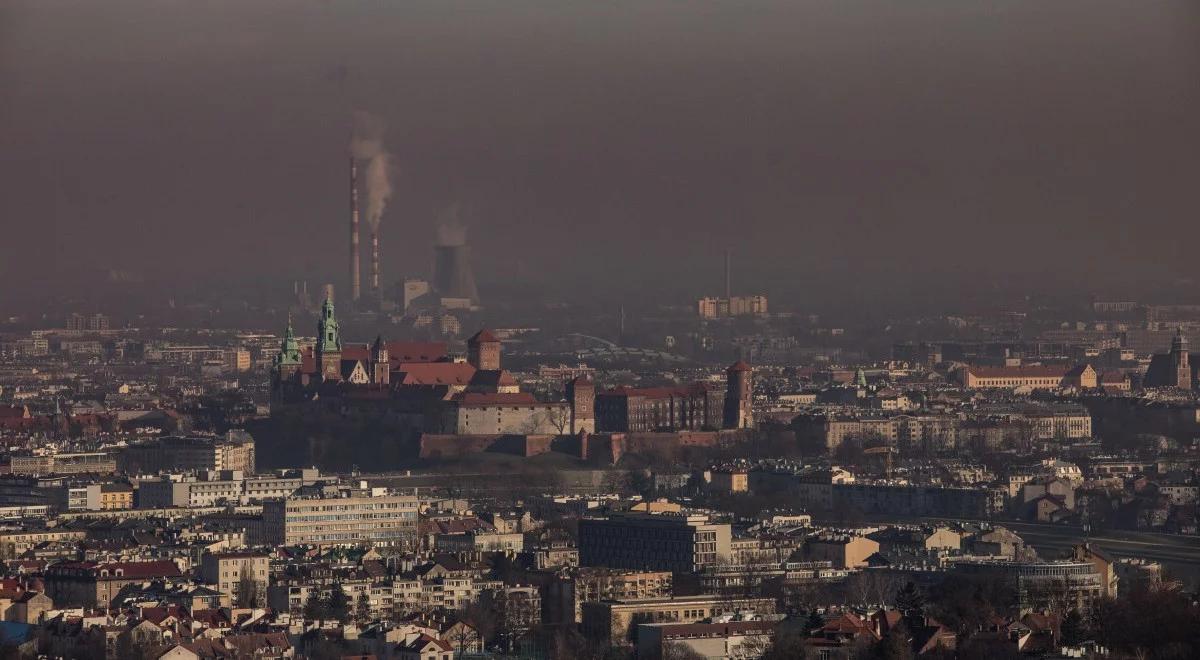 Restrykcyjny zakaz przynosi efekty. Kraków ma coraz czystsze powietrze