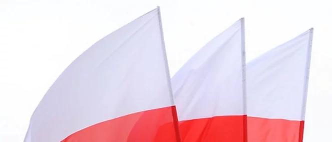 Wirtualna flaga na Dzień Flagi