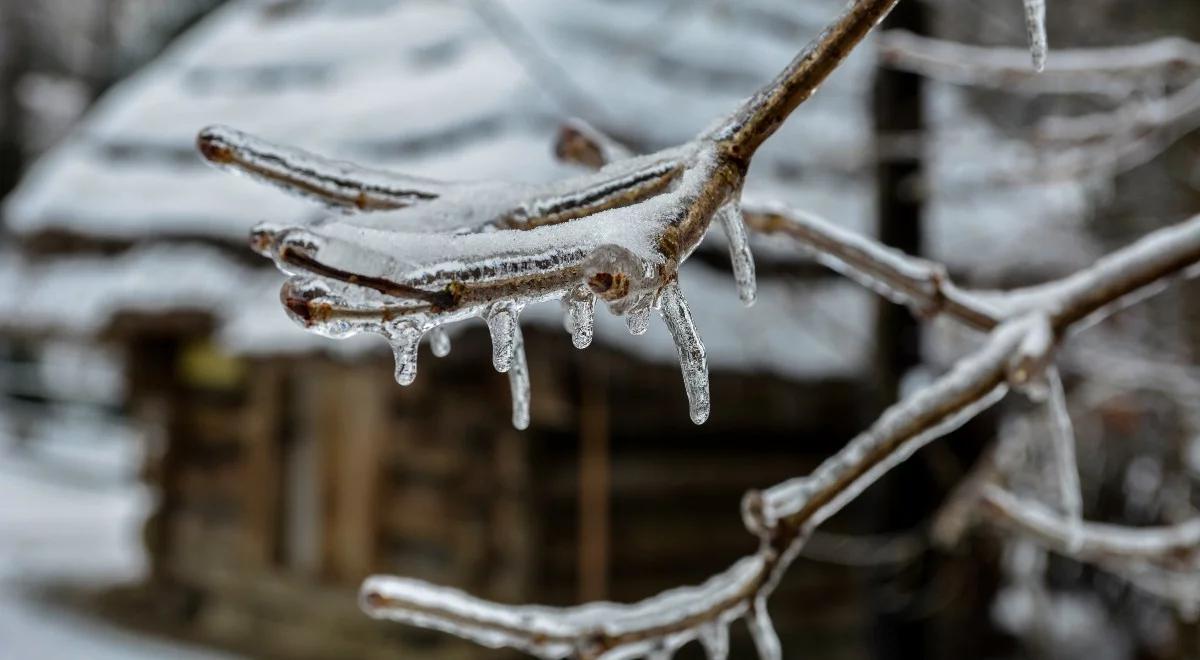 Prognoza pogody na Boże Narodzenie. Dodatnie temperatury i opady