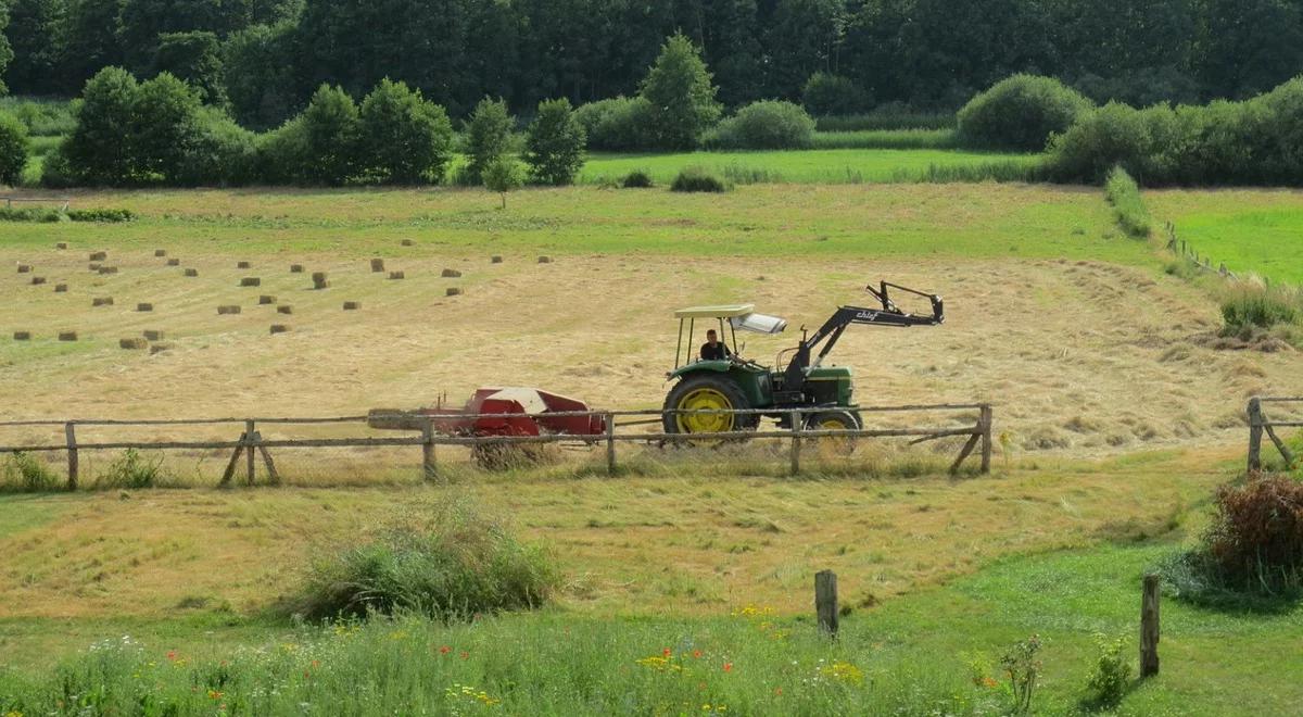 ANR: w 2015 roku ceny gruntów rosły. Średnio trzeba było zapłacić 29,5 tys. zł za 1 ha