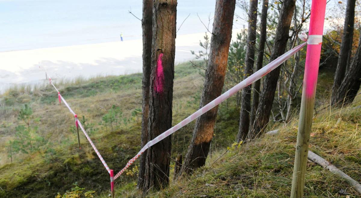 Ruszyła budowa przekopu Mierzei Wiślanej. Wycinka drzew na początek