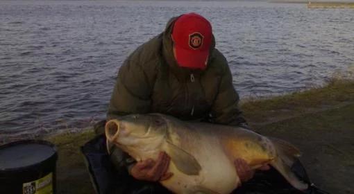 Największy polski karp to Rysiu (Zobacz)