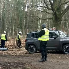 Ruszyła budowa przekopu Mierzei Wiślanej. Wycinka drzew na początek