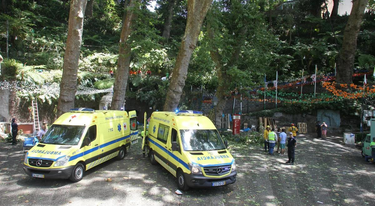 Tragedia na Maderze. Drzewo przygniotło pielgrzymów. Kilkanaście ofiar