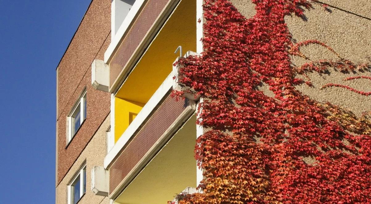 Już 2 mln 42 tys. nieruchomości Skarbu Państwa zinwentaryzowanych