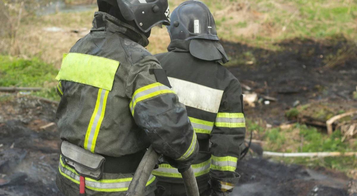 W 2017 r. nawałnica, teraz pożar. Niedaleko Gniezna spłonęło 25 hektarów lasu