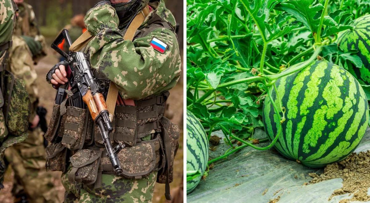 Śmiertelna pułapka. Zatrute arbuzy zabiły 12 wojskowych Putina