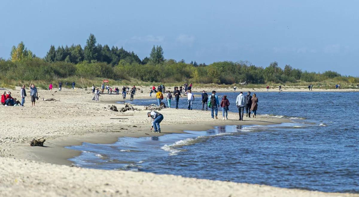 Spacerowicze mogą się obłowić. Obecnie na tych plażach aż roi się od "złota Bałtyku"