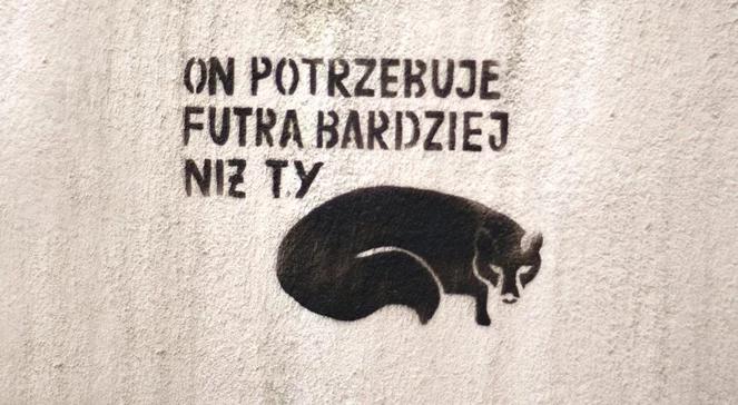 Streetart – współczesna awangarda
