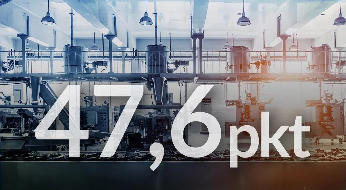 Ile wyniósł grudniowy indeks PMI dla Polski?