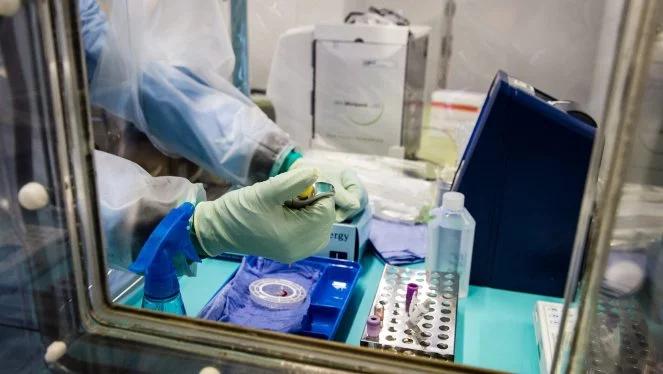 Wielka Brytania: specjalne posiedzenie w sprawie eboli