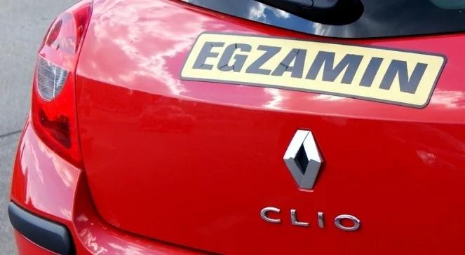 Korupcja w WORD. 8 egzaminatorów zatrzymanych