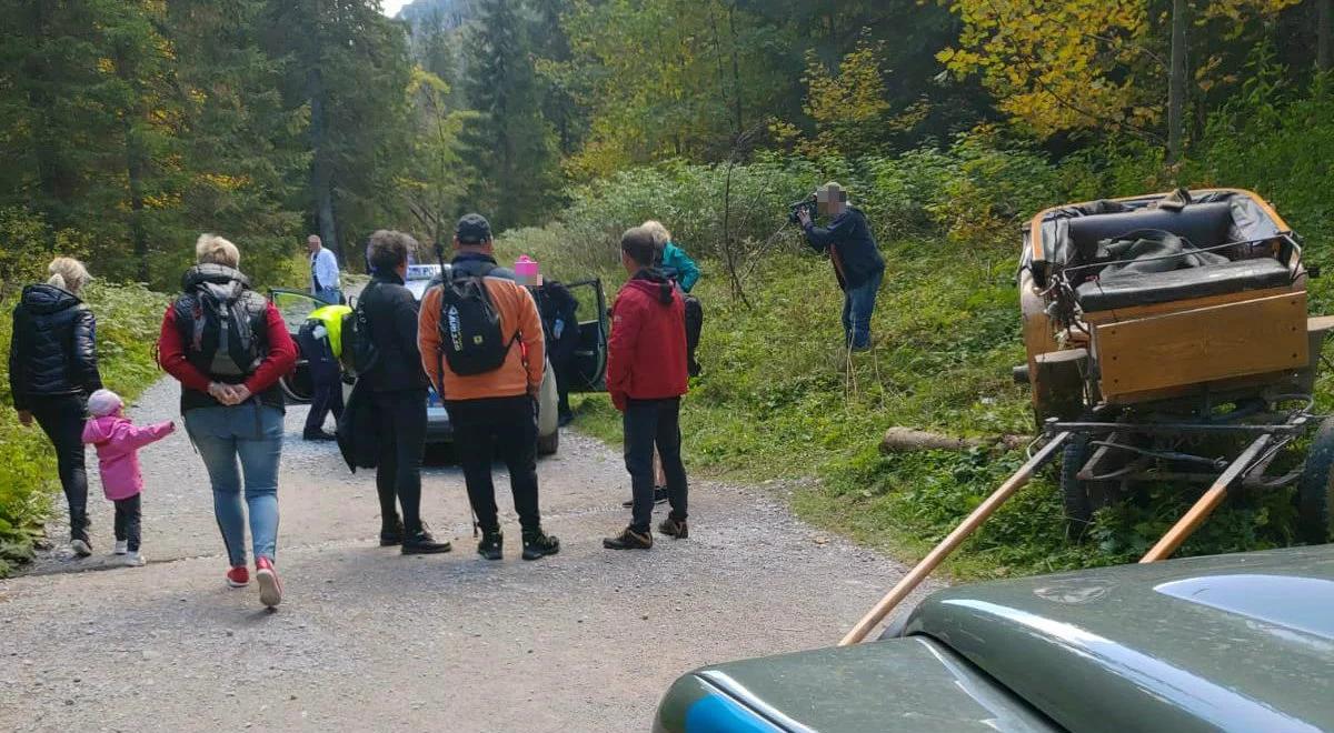 Wypadek dorożki w Dolinie Kościeliskiej. Ranna turystka