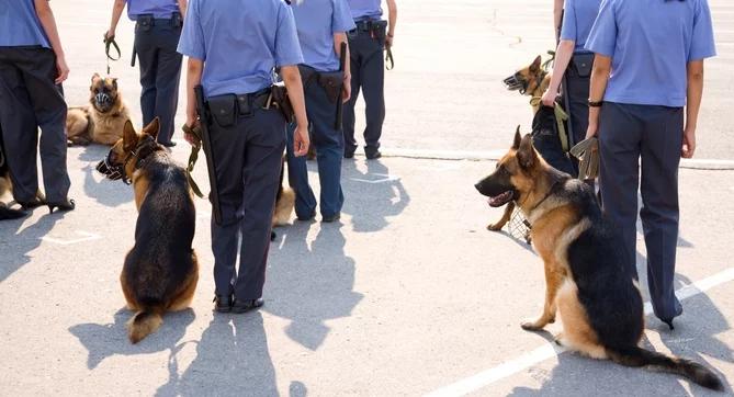 Chiny: 13 tys. policjantów poszukuje zabójcy