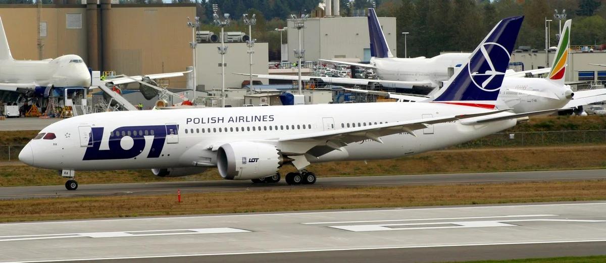 PLL LOT rozwijają skrzydła. Wyniki lepsze niż zaplanowano