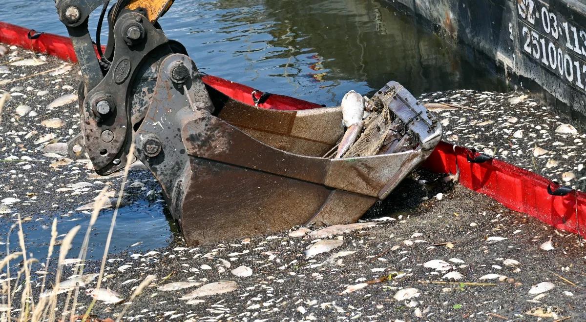 Polak, rtęć i potwór z Loch Ness. Felieton Miłosza Manasterskiego