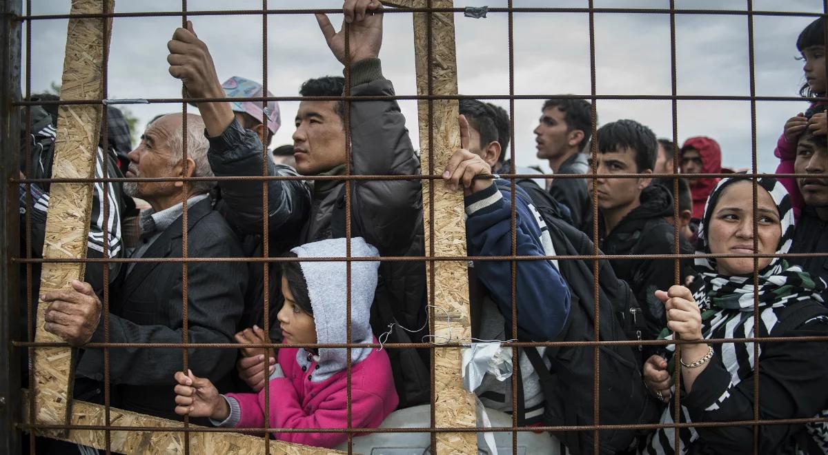 Szef MSZ Włoch o migracji: trzeba współpracować z krajami północnej Afryki