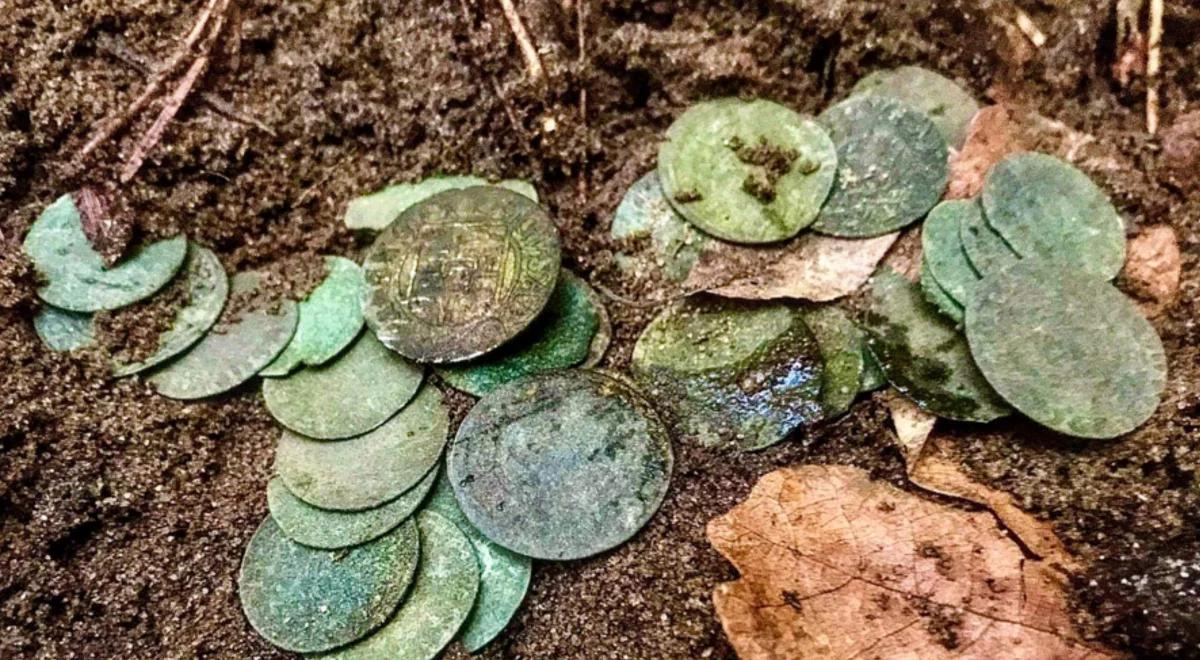 Pod Toruniem odkryto szwedzki skarb. Kilkadziesiąt srebrnych monet sprzed 400 lat
