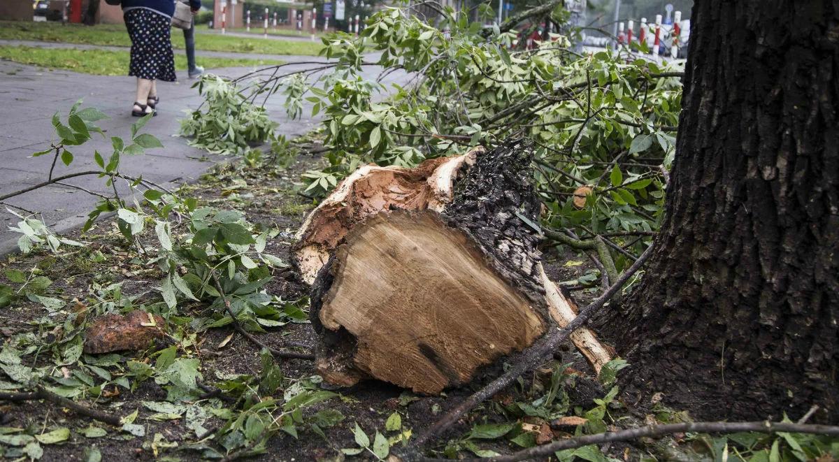 Polska po nawałnicy. Poważne szkody w wielu województwach