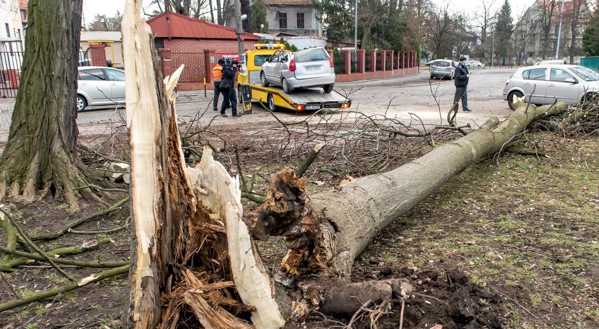 Dolnośląskie: ponad 300 interwencji straży pożarnej z powodu silnego wiatru