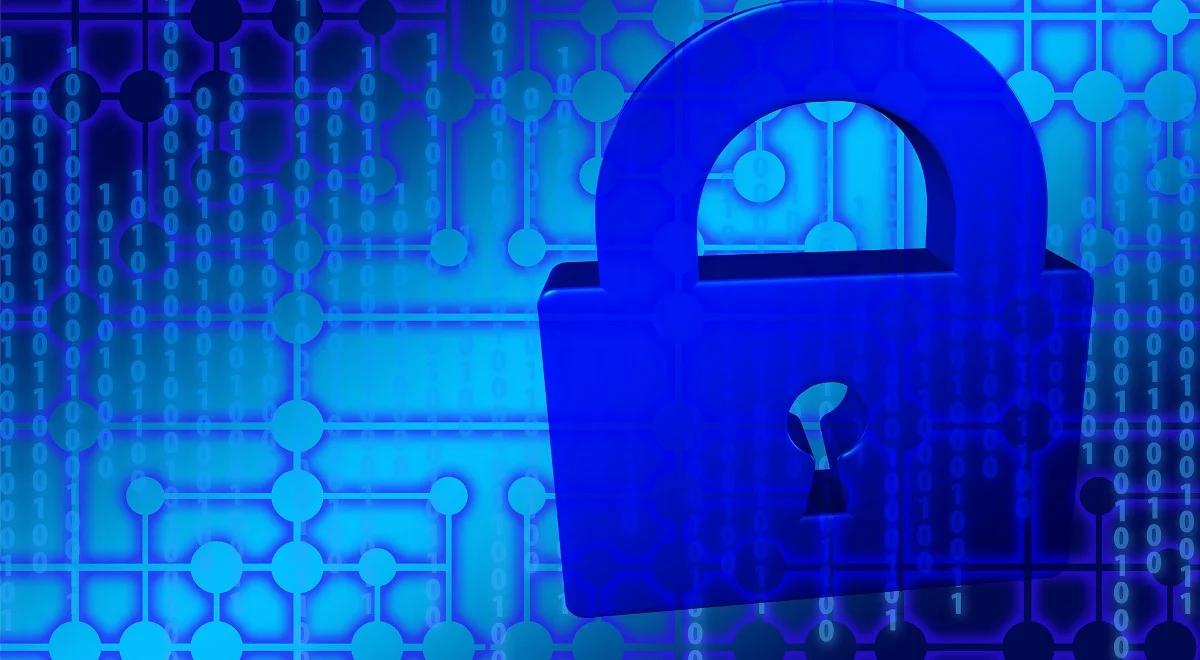 Coraz więcej firm zbiera nasze dane z Internetu