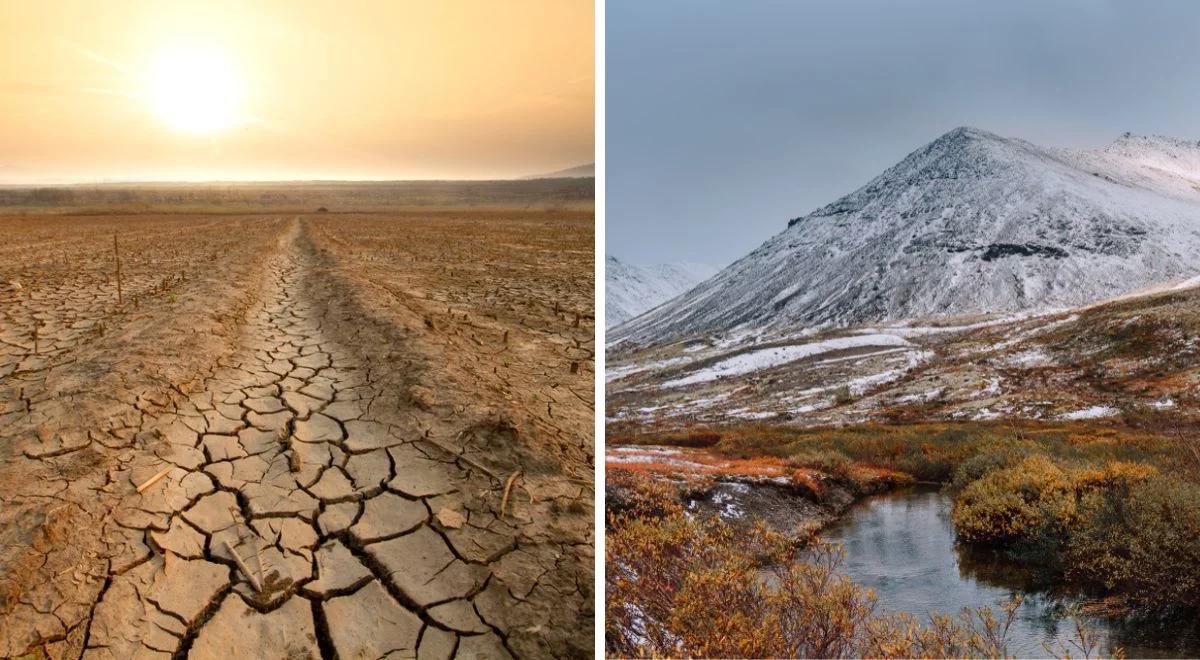 Ocieplenie klimatu. Czeka nas masowa migracja w chłodniejsze rejony Ziemi?