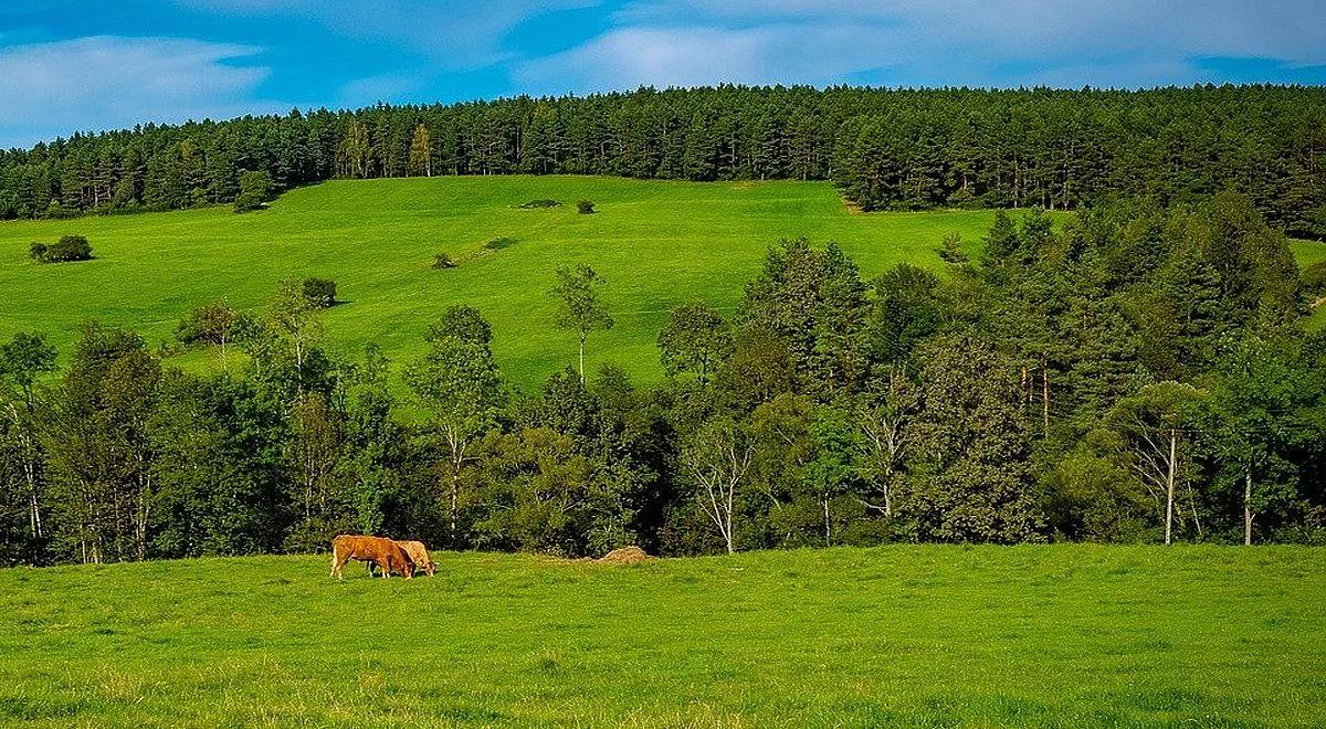 Inwestycje rolne w obszarach Natura 2000. Wnioski do 30 grudnia