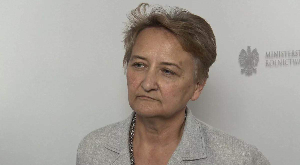 W Polsce powstanie system znakowania produktów wolnych od GMO 