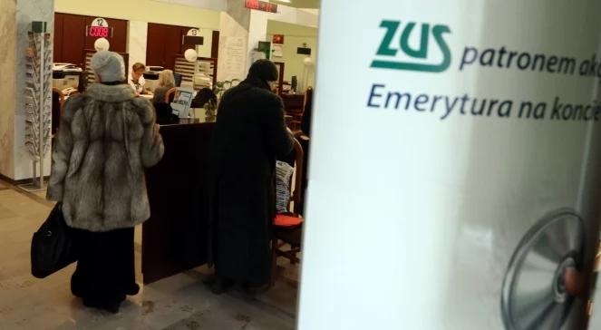 ZUSomaty: jak z nich korzystać