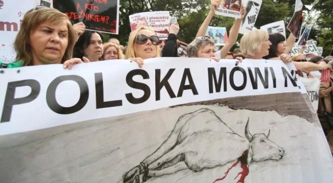 Ubój rytualny. Polscy politycy zgodnie krytykują izraelskie oświadczenie