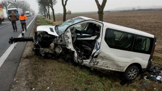 Wypadek busa koło Brzegu. Kilkunastu rannych